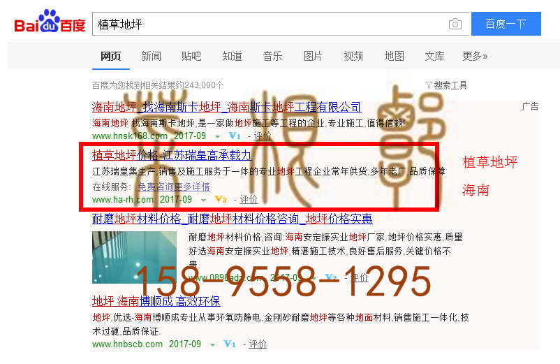 苏州竞价网站托管优化推广公司，菜根谭网络科技有限公司查询瑞皇关键词排名9月18日推广实况案例（2）