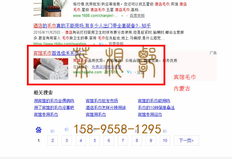 苏州竞价网站托管优化推广公司，菜根谭网络科技有限公司查询佳禾关键词排名10月13日推广实况案例（2）