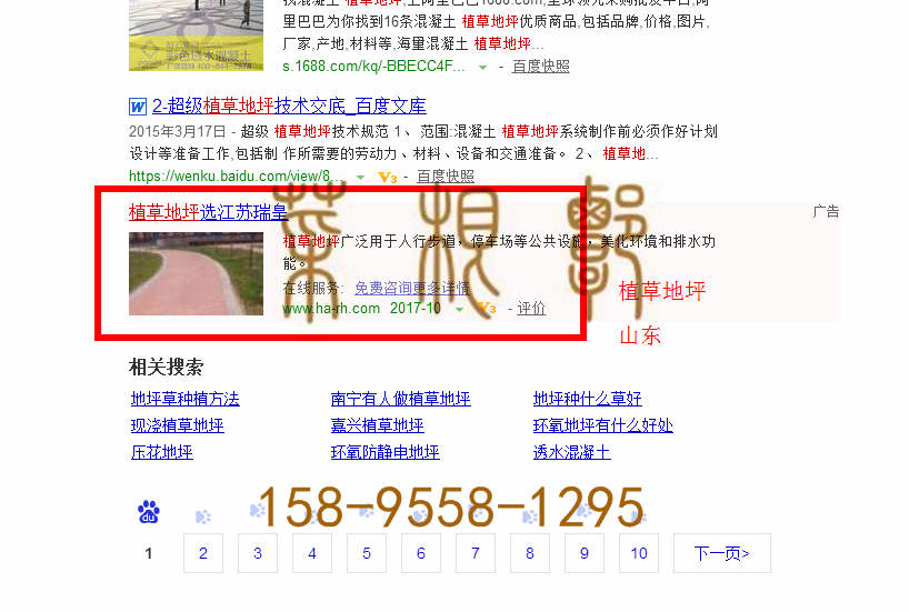 苏州竞价网站托管优化推广公司，菜根谭网络科技有限公司查询瑞皇关键词排名10月16日推广实况案例（2）